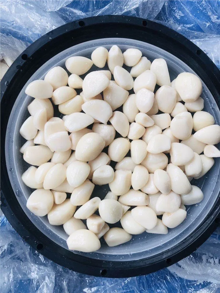 Brined white garlic in salted water in drums