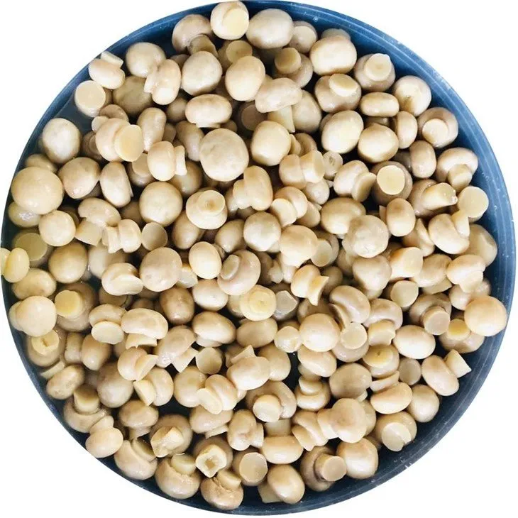 Whole white champignon in brine in plastic drums
