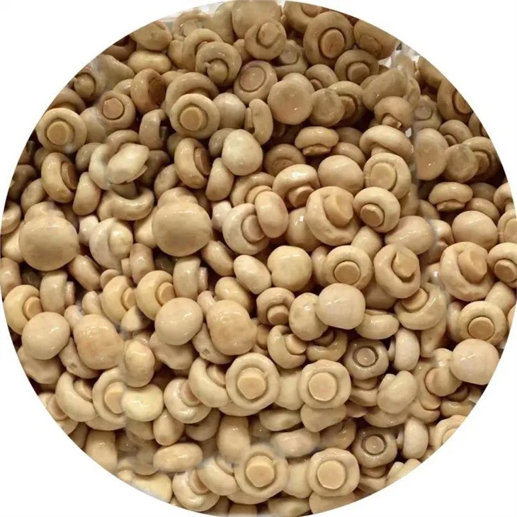 Whole white mushroom in salted water in barrel