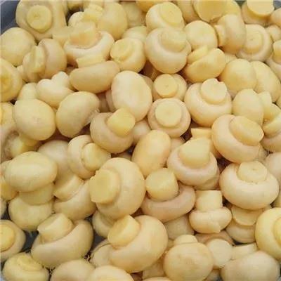 ドラム缶のキノコ保存