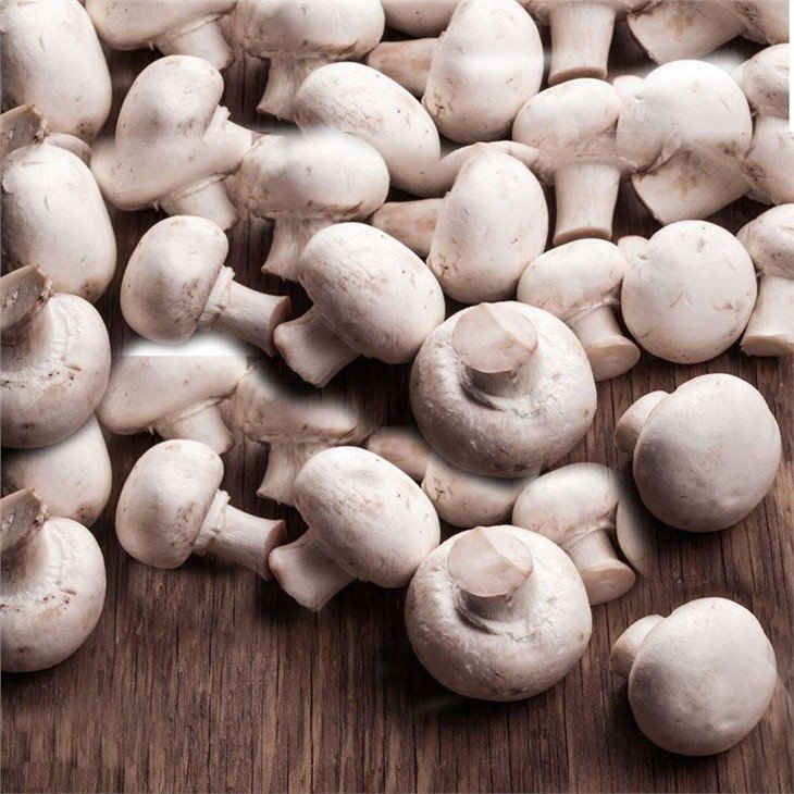 Preserved white mushroom in vinegar in drums