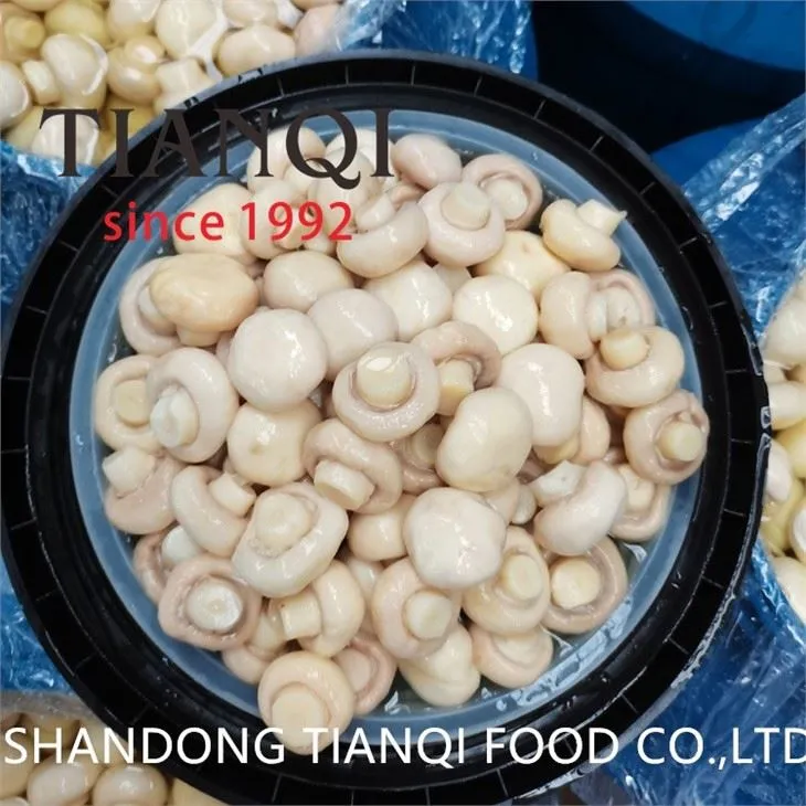 Brined whole white mushroom 3-3.5cm in brine in drums