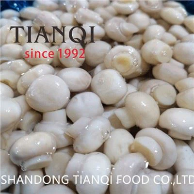 ドラム缶の塩水で新しい作物の白いキノコ