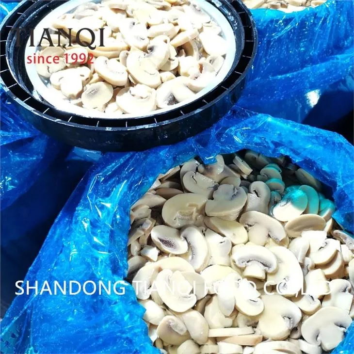 White Champignon in Vinegar in Drums Supplier